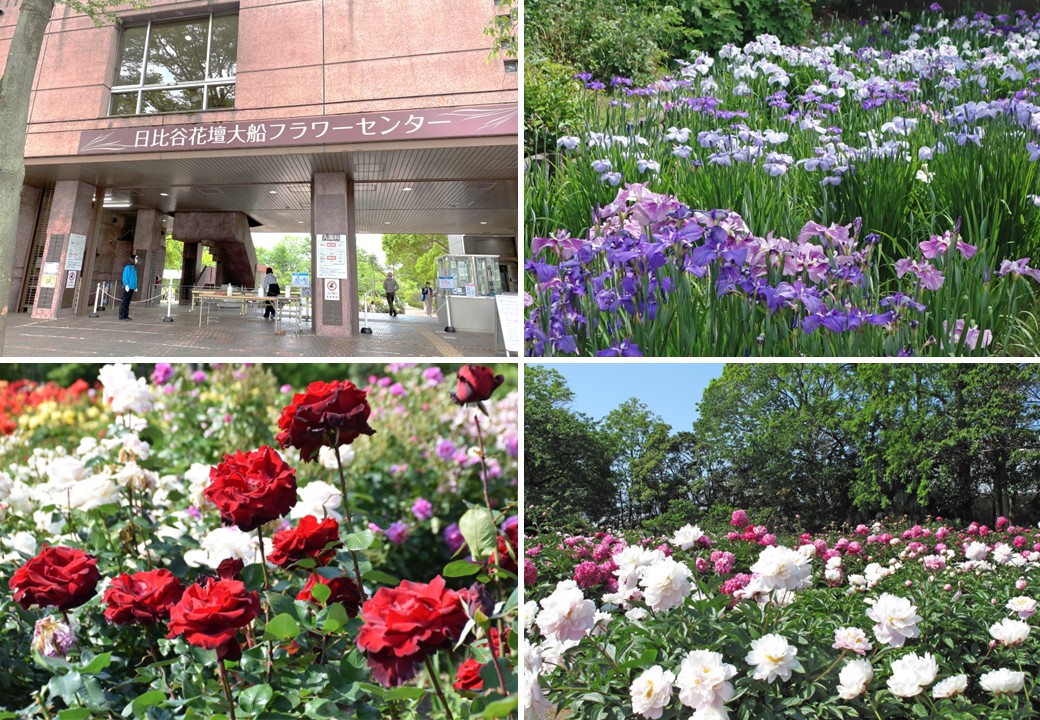 フラワーセンター