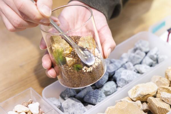 苔テラリウムを作る手元の写真