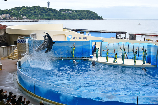 新江ノ島水族館写真1