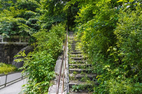 ハイキングコースの終着点の写真