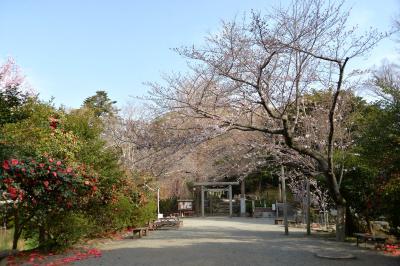 葛󠄀原岡神社0327