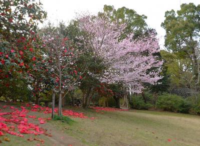 葛󠄀原岡神社0327