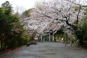 葛󠄀原岡神社0403
