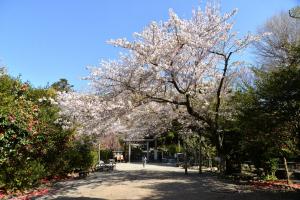 葛󠄀原岡神社0409