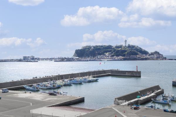小動神社の写真