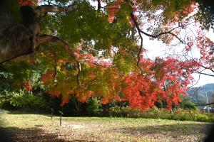 法華堂跡20251208