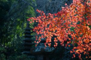 安国論寺20251212