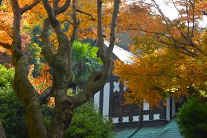 20251202華頂宮邸