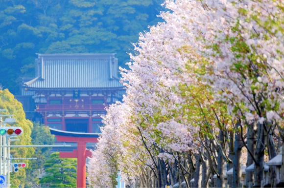 Hasedera Temple