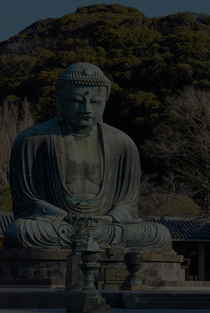 A photo of the Great Buddha standing under a clear sky, surrounded by trees in the background.